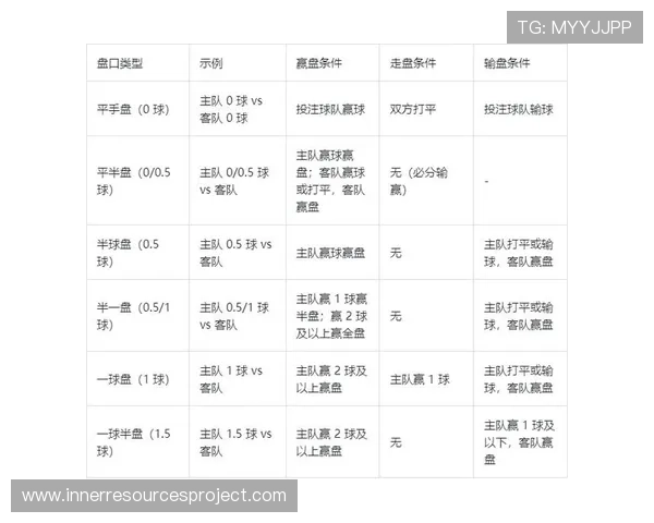 荷兰世界杯赔率变化解读